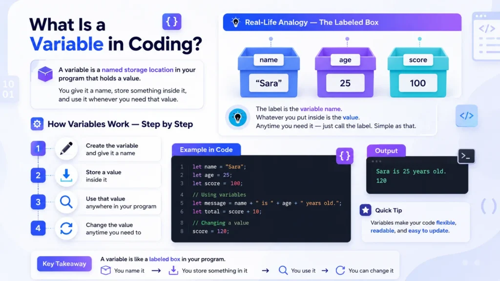 Infographic explaining variables in coding with examples and steps